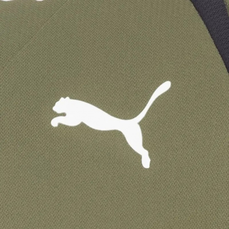Кофта Воротаря Puma 700394-03