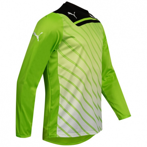 Кофта Воротаря Puma 701006-27