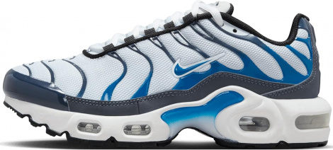 Кроссовки Nike Air Max Plus Grey/Blue