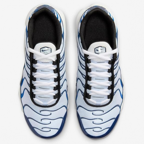 Кроссовки Nike Air Max Plus Grey/Blue