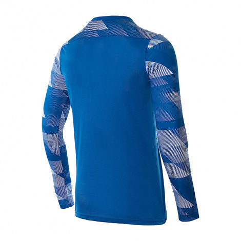 Кофта Nike Dry Park Iv Goalkeeper Jersey Long Sleeve