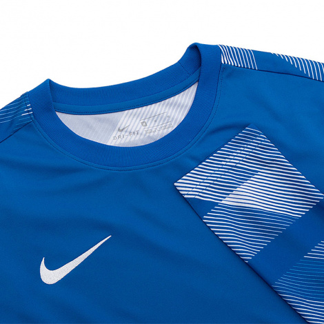 Кофта Nike Dry Park Iv Goalkeeper Jersey Long Sleeve