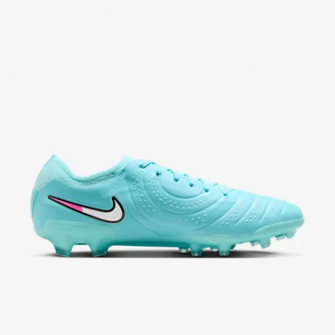 Бутсы Nike Legend 10 Pro Fg