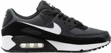 Кросівки Nike AIR MAX 90 CN8490-002