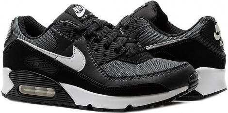 Кросівки Nike AIR MAX 90 CN8490-002