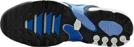 Кросівки Nike AIR MAX PLUS DRIFT біло-сині FD4290-102