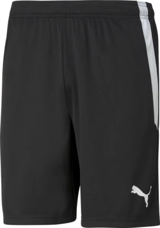 Шорты Puma TEAMLIGA черные 704924-03