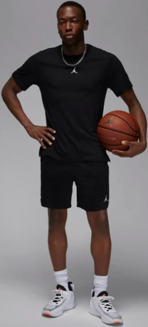 Шорти баскетбольні Nike JORDAN SPORT MEN'S DRI-FIT MESH SHORTS чорні FN5816-010