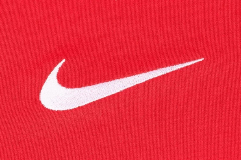 Футболка Nike M NK DF PARK VII JSY SS красная BV6708-657