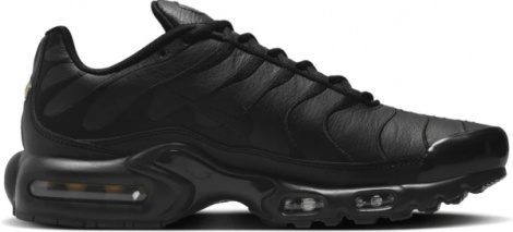 Кросівки Nike AIR MAX PLUS чорні AJ2029-001