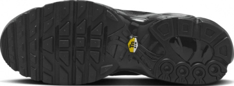 Кросівки Nike AIR MAX PLUS чорні AJ2029-001