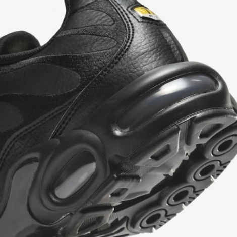 Кросівки Nike AIR MAX PLUS чорні AJ2029-001