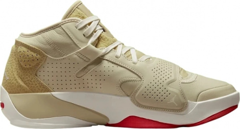 Кросівки баскетбольні Nike JORDAN ZION 2 бежеві DO8990-217