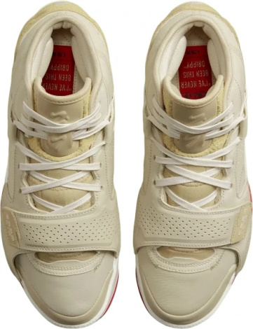 Кросівки баскетбольні Nike JORDAN ZION 2 бежеві DO8990-217