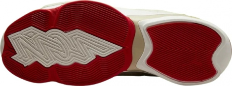 Кросівки баскетбольні Nike JORDAN ZION 2 бежеві DO8990-217