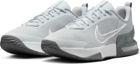 Кросівки для тренувань Nike AIR MAX ALPHA TRAINER 6 сірі FQ1833-002