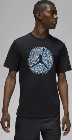 Футболка Nike MJ FLT ESS POOL SS CREW чорна FN6006-010