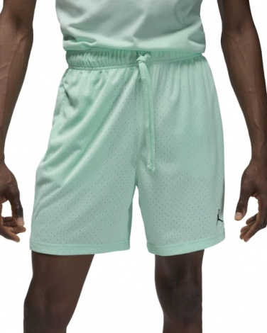 Шорты баскетбольные Nike JORDAN SPORT MEN'S DRI-FIT MESH SHORTS мятные FN5816-353