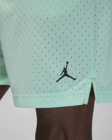 Шорты баскетбольные Nike JORDAN SPORT MEN'S DRI-FIT MESH SHORTS мятные FN5816-353