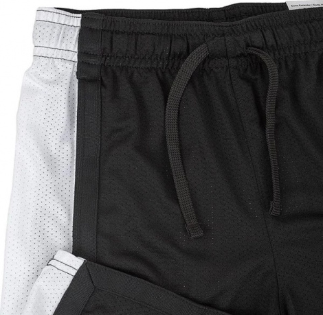 Шорты баскетбольные Nike M J DF SPRT MESH SHORT черно-белые DH9077-010