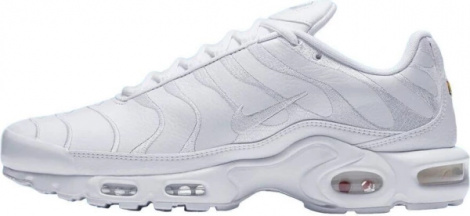 Кросівки Nike AIR MAX PLUS білі AJ2029-100