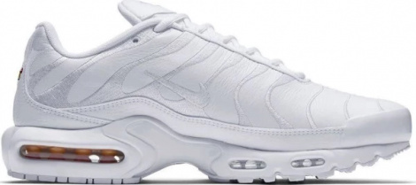 Кросівки Nike AIR MAX PLUS білі AJ2029-100
