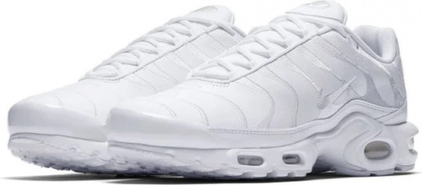 Кросівки Nike AIR MAX PLUS білі AJ2029-100