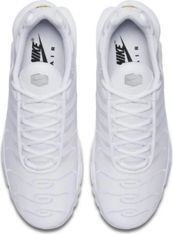 Кросівки Nike AIR MAX PLUS білі AJ2029-100