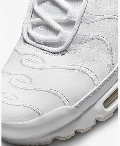 Кросівки Nike AIR MAX PLUS білі AJ2029-100