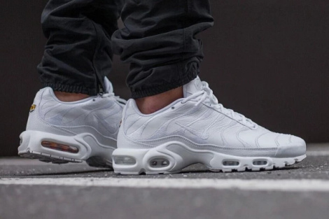 Кросівки Nike AIR MAX PLUS білі AJ2029-100