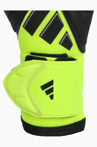 Воротарські рукавички adidas Copa Pro