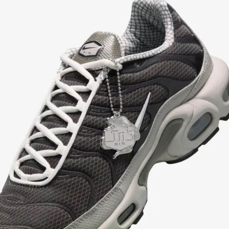 Кросівки Nike AIR MAX PLUS бежево-сірі IB7679-200