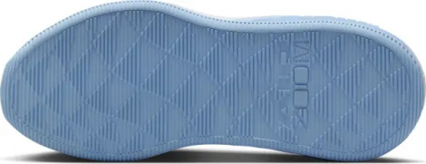 Кросівки для тренувань жіночі Nike AIR ZOOM BELLA 7 світло-сіро-блакитні FZ1689-001