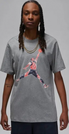 Футболка Nike JORDAN BRAND сіра FN5980-091