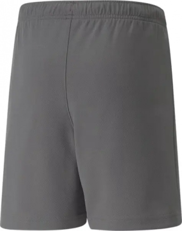 Шорты детские Puma TEAMRISE SHORT JR серые 704943-13