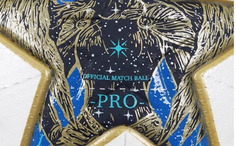 Официальный мяч Лиги Чемпионов adidas UCL PRO 25/26 League Stage FIFA Quality PRO (термошов)
