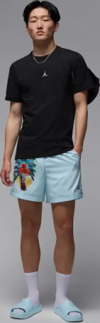 Футболка Nike JORDAN FLIGHT ESSENTIALS чорна IB7520-010