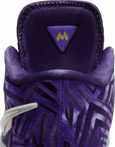 Кросівки баскетбольні Nike LEBRON NXXT GENISUS QS фіолетово-темно-фіолетово-блакитні IB1272-501