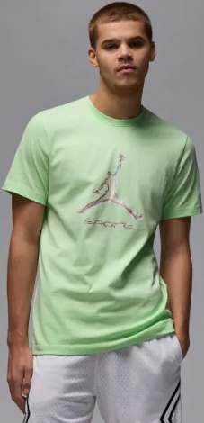 Футболка Nike JORDAN SPORT DRI-FIT светло-зеленая HQ7984-376