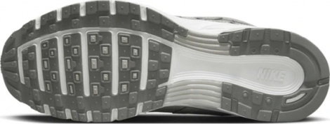 Кросівки Nike P-6000 PREMIUM сірі FN6837-012