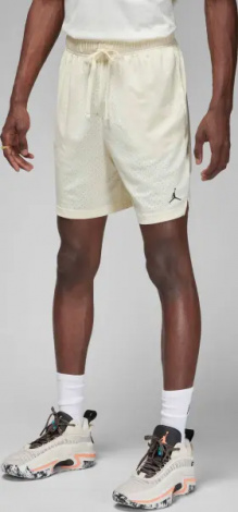 Шорти баскетбольні Nike JORDAN SPORT MEN'S DRI-FIT MESH SHORTS кремові FN5816-113