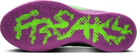 Кросівки баскетбольні Nike GIANNIS FREAK 6 фіолетово-салатові FJ7792-500
