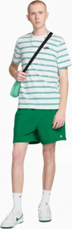 Футболка Nike SPORTSWEAR CLUB STRIPE біло-зелено-синя DZ2985-094