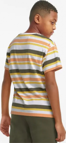 Футболка подростковая Puma ALPHA STRIPED бело-желто-оранжево-оливковая 847293-02