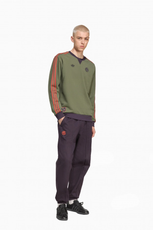 Кофта adidas FC Bayern 25/26 Terrace Icons - зеленый