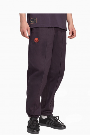 Штаны adidas FC Bayern 25/26 Terrace Icons Drill - Фиолетовый