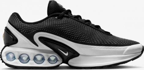Кросівки жіночі Nike AIR MAX DN чорно-білі FJ3145-002