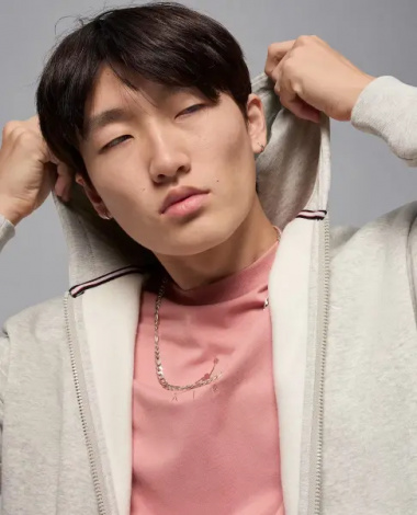 Толстовка Nike JORDAN BROOKLYN FLEECE FULL-ZIP HOODIE светло-серая FV7289-050