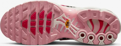 Кросівки жіночі Nike AIR MAX PLUS різнокольорові DZ4842-600