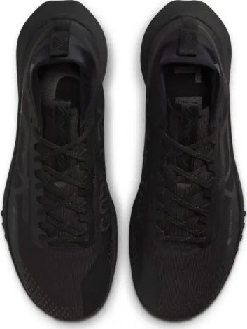 Кросівки для трейлранінгу Nike REACT PEGASUS TRAIL 4 GORE-TEX V2 чорні HM9728-002